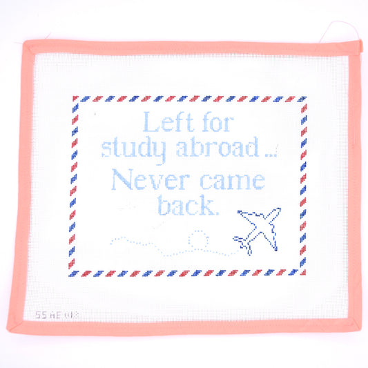 Stitch Style Needlepoint - Left for Study Abroad Never Came Back