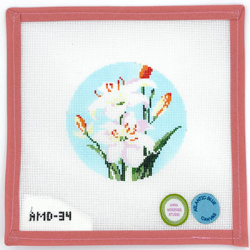 Anna McKenzie Studio - Flowers of the Bible:  Lily of the Field
